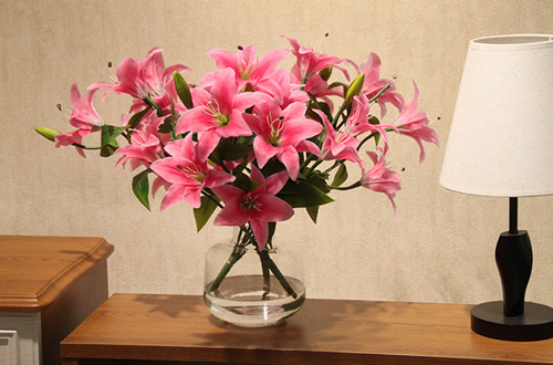 合肥怎样延长百合花的花期