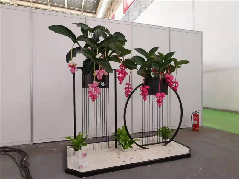 合肥花架组合