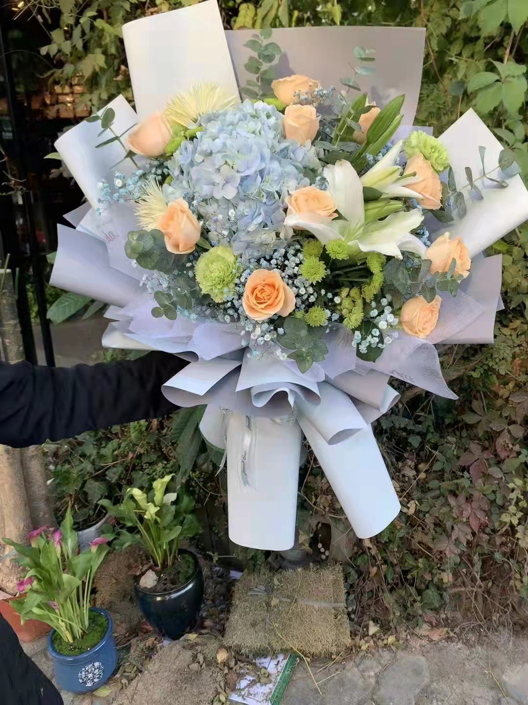 合肥鲜花