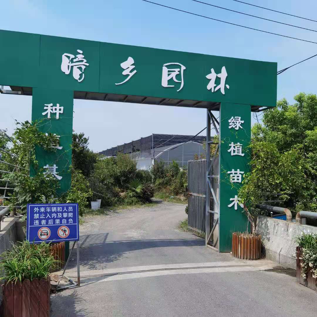合肥暗乡园林怎么样-绿植租赁